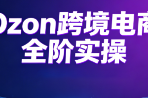 Ozon跨境电商全阶实操课程