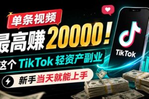 单条视频最高赚 20000！这个 TikTok 轻资产副业，新手当天就能上手