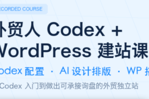 外贸人Codex + WordPress建站课