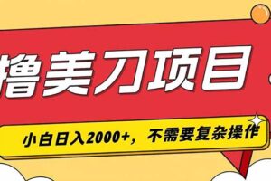撸美刀，单日收入2000+，小白可做