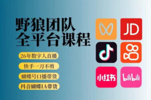 野狼团队2026新版全平台短视频带货教学，打开流量突破口，开始Ai带货(更新0724)