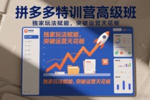拼多多特训营高阶班，独家玩法赋能，突破运营天花板(更新26年7月24日)