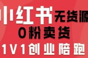 小红书无货源0粉电商课，开店准备、选品策略、笔记撰写、视频剪辑、数据分析、账号打造、资料文档(更新26年7月24日)