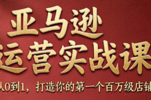skyla·亚马逊运营实战课(更新7月)