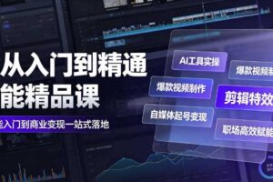 AI从入门到精通全能精品课|AI工具实操+爆款视频制作+剪辑特效+自媒体起号变现+职场高效赋能全教程