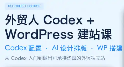 大卫·外贸人Codex + WordPress建站课(更新8月)