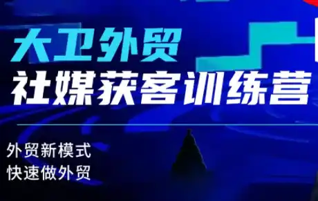 大卫老师·外贸社媒获客独家训练营(更新8月)